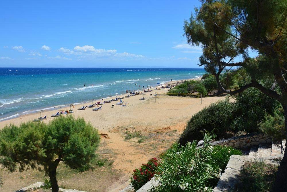 Stamiris Beach Hotel Василикос Экстерьер фото